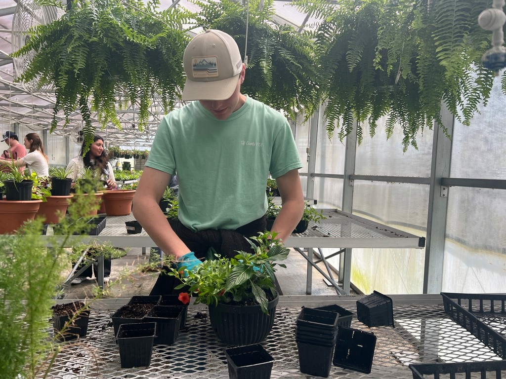 FFA Plant Sale