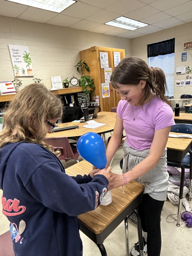 Mrs. Bennett's 5th graders completed a chemical reaction experiment. 