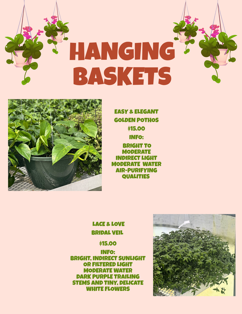 Plant Sale