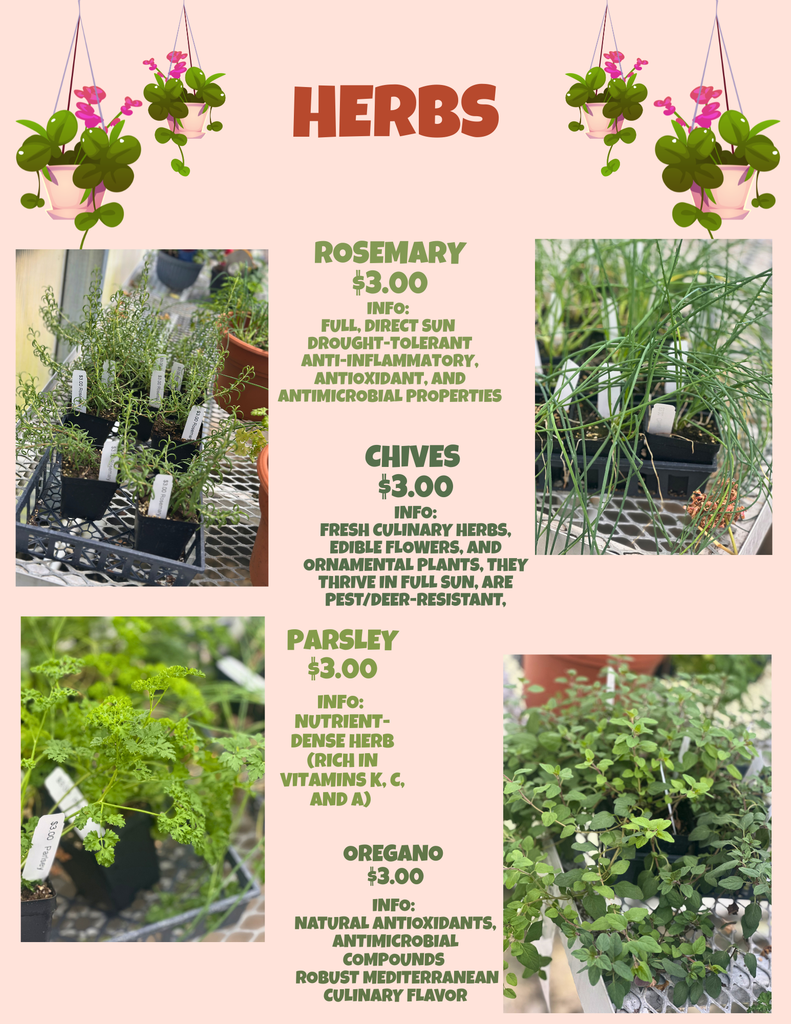 Plant Sale