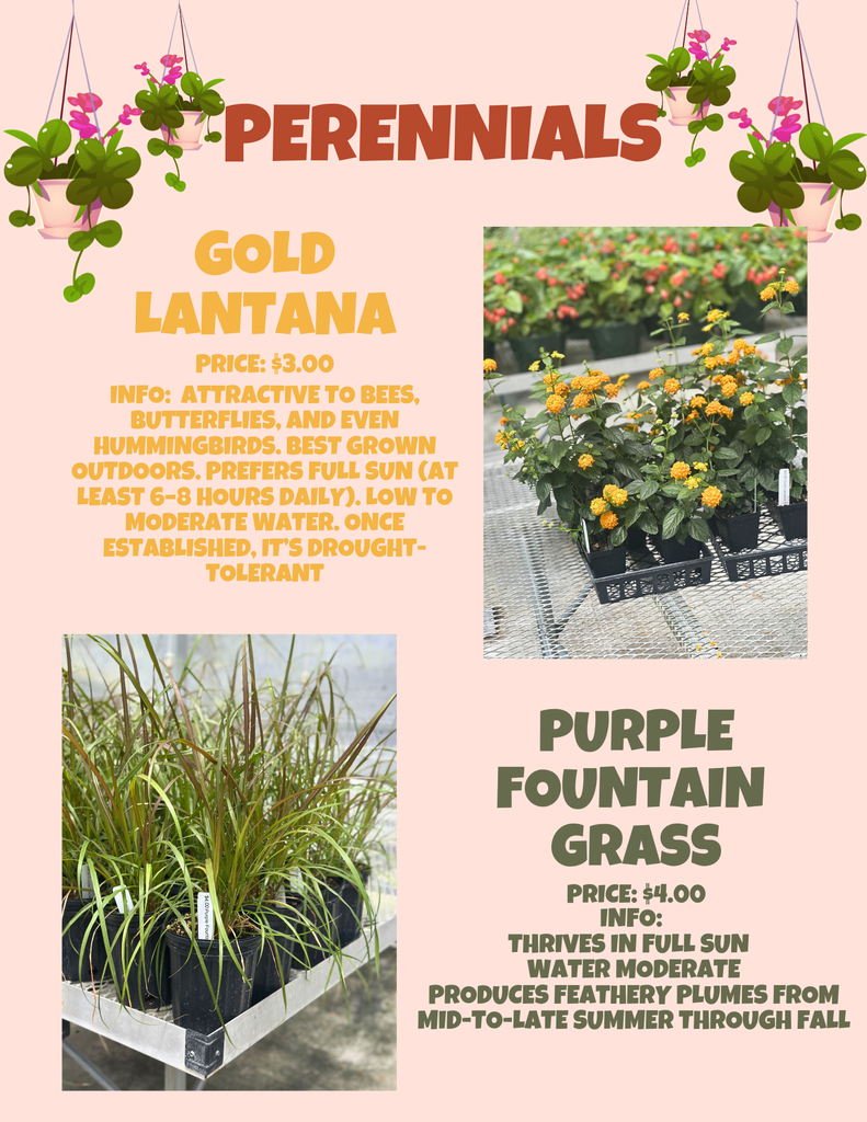 Plant Sale