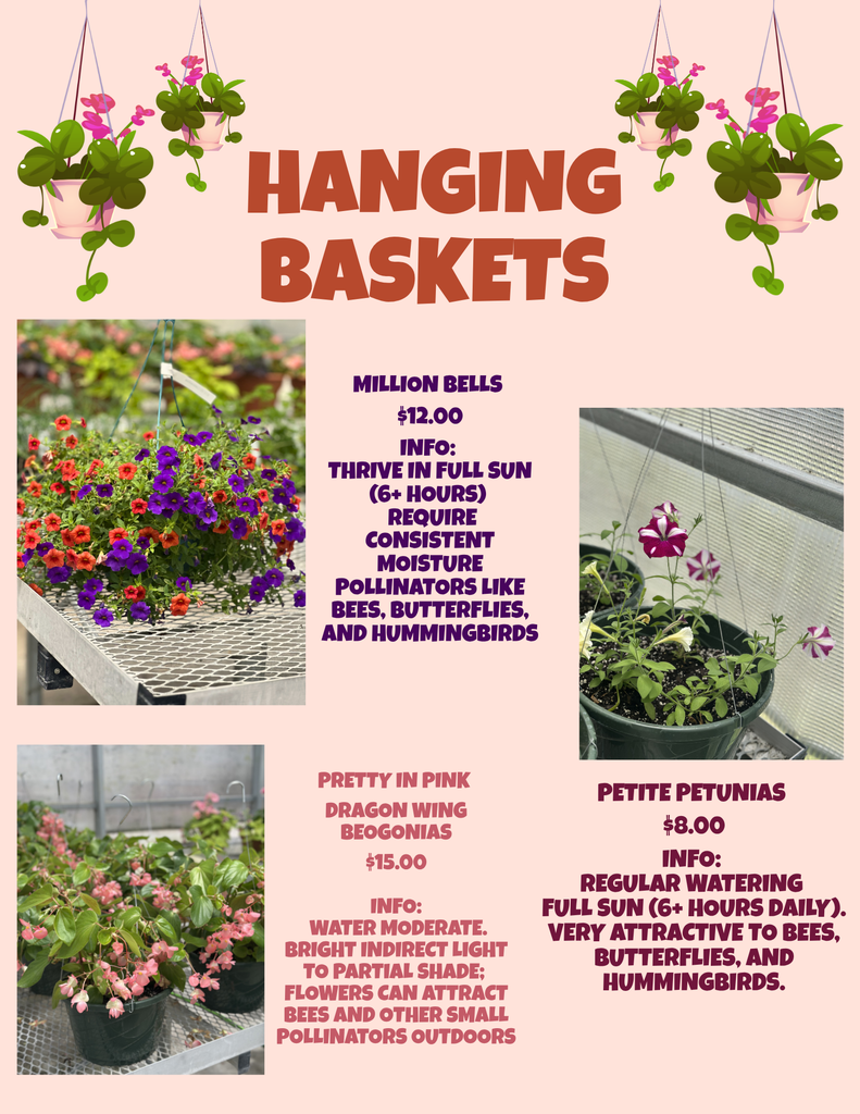 Plant Sale