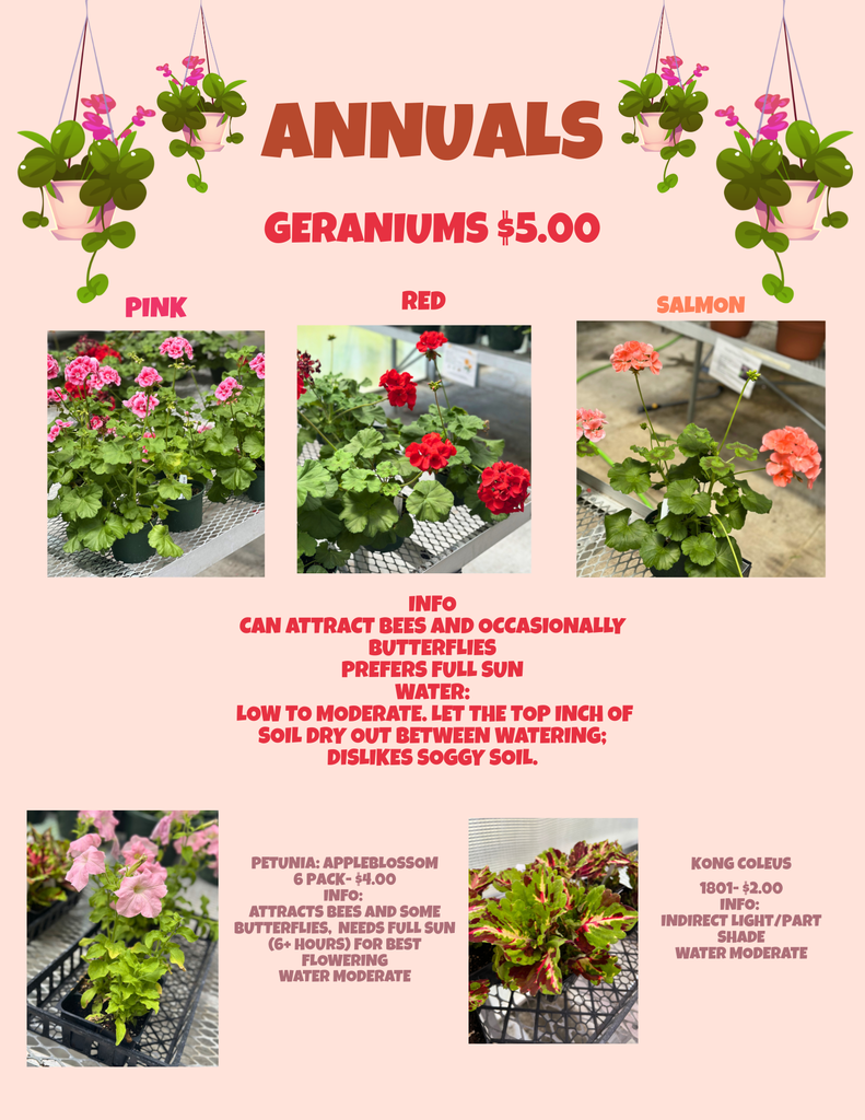 Plant Sale