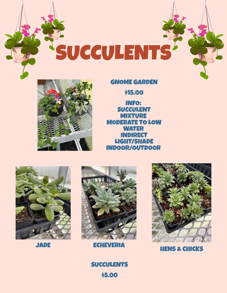 Plant Sale