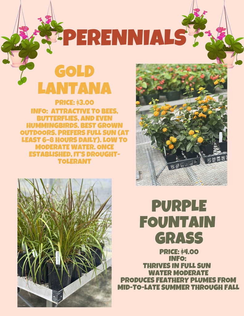 FFA Mother's Day Plant Sale
