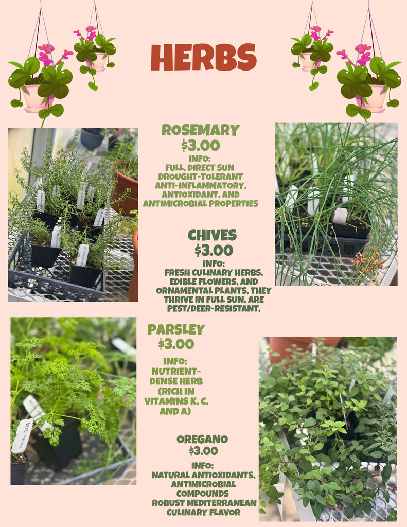 FFA Mother's Day Plant Sale
