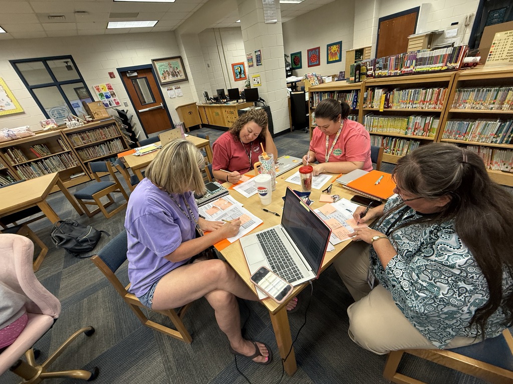 Teachers reveiwing strategies at professional development.