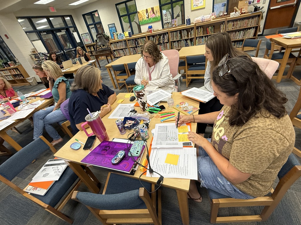 Teachers reveiwing strategies at professional development.