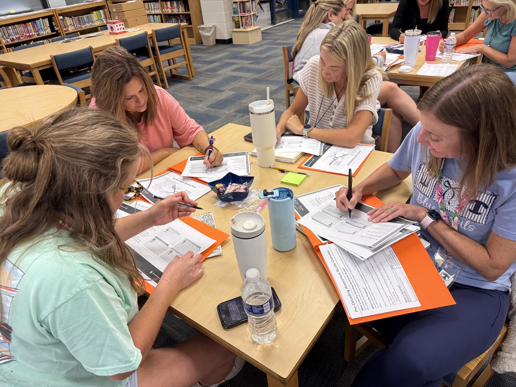Teachers reveiwing strategies at professional development.