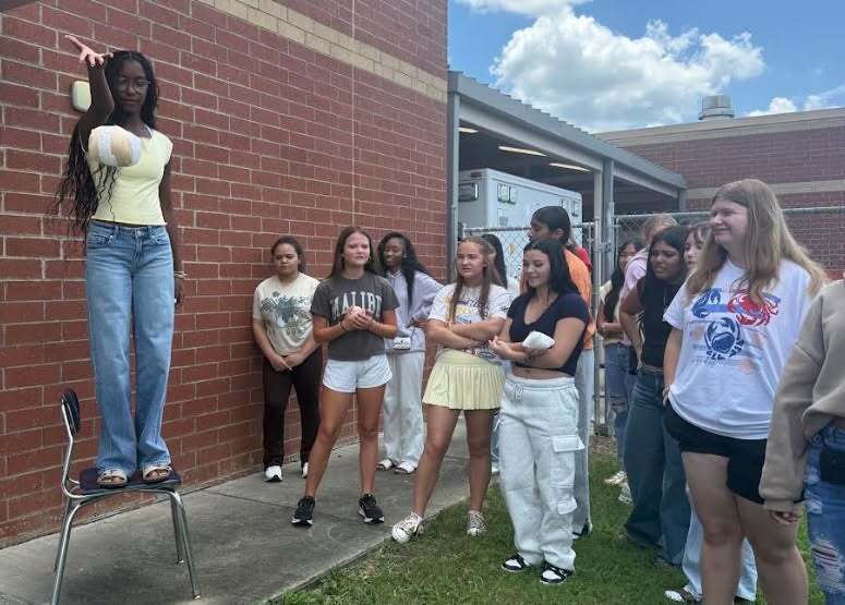 Egg Drop in Healthcare