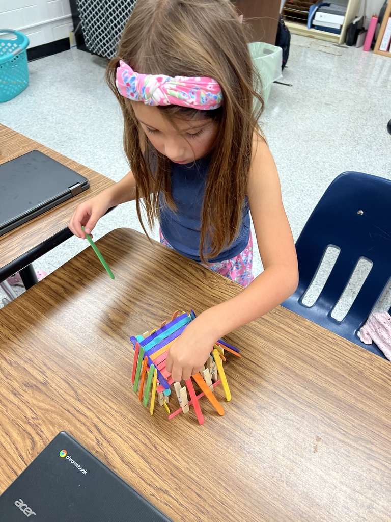 Mrs. Onyeri’s 1st Grade Gifted Resource Class is hard at work! After learning that animals need shelter, students tackled a STEM challenge to build an animal home using only tongue depressors and clothespins. Talk about creativity and problem-solving!