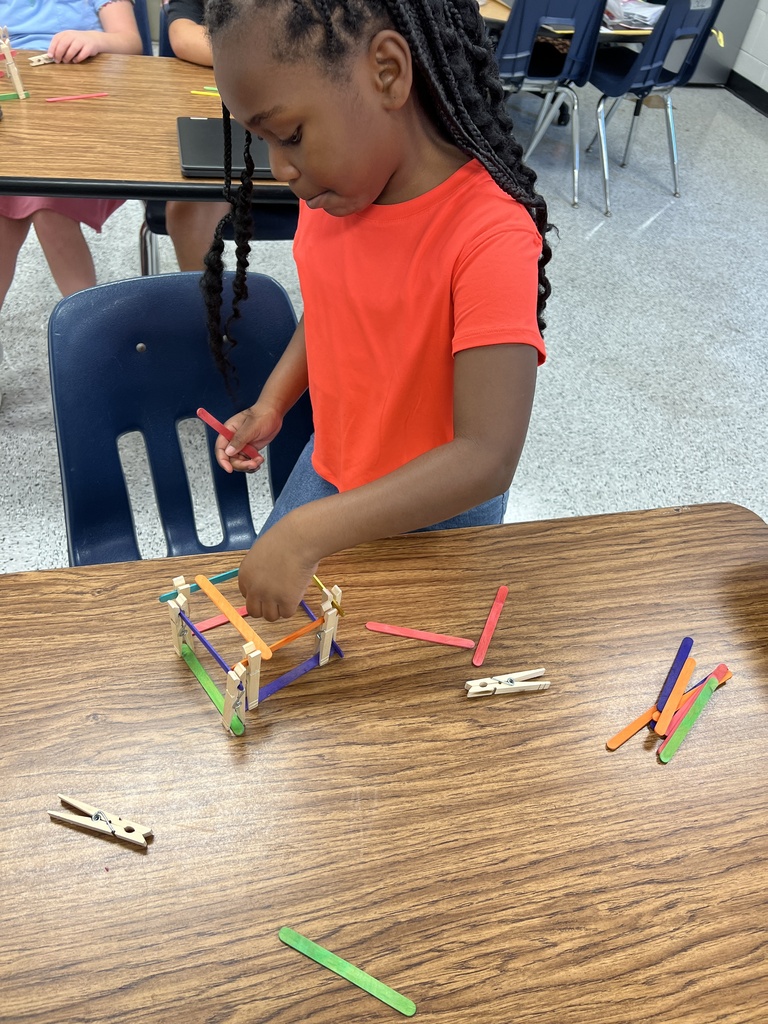 Mrs. Onyeri’s 1st Grade Gifted Resource Class is hard at work! After learning that animals need shelter, students tackled a STEM challenge to build an animal home using only tongue depressors and clothespins. Talk about creativity and problem-solving!