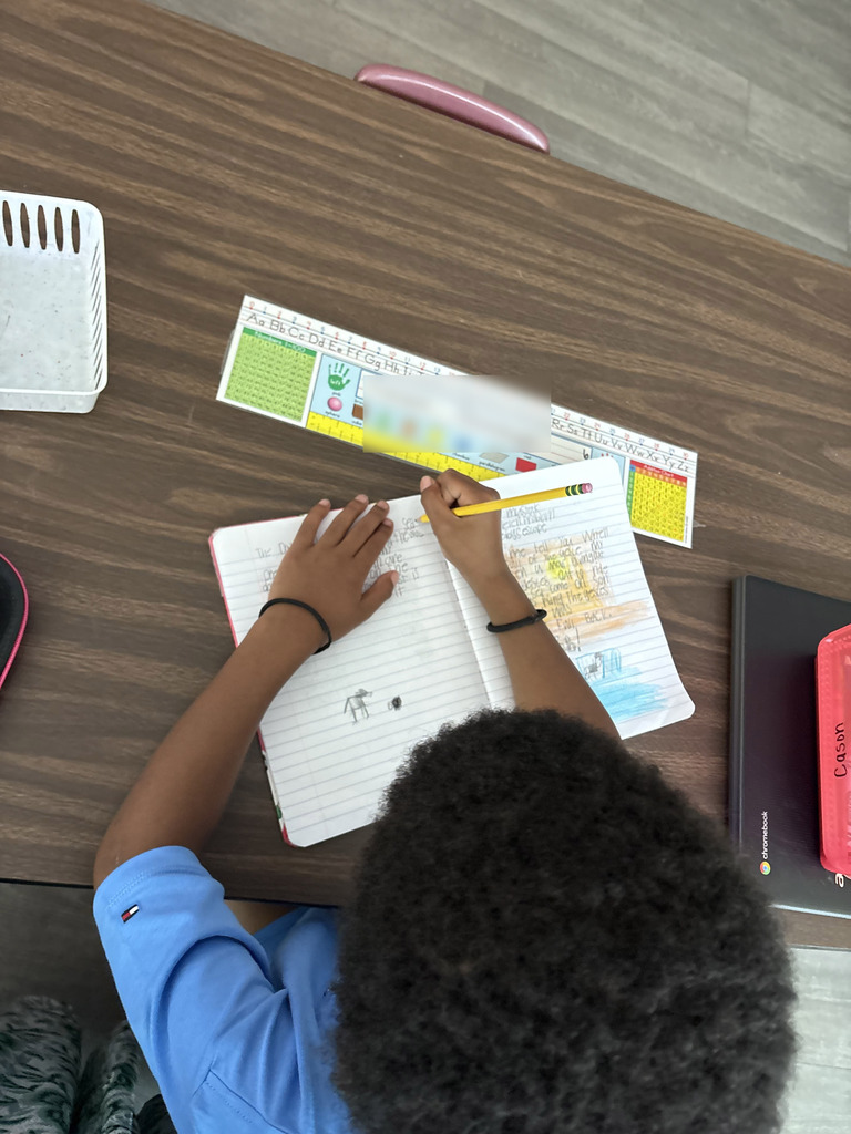 Student Writing