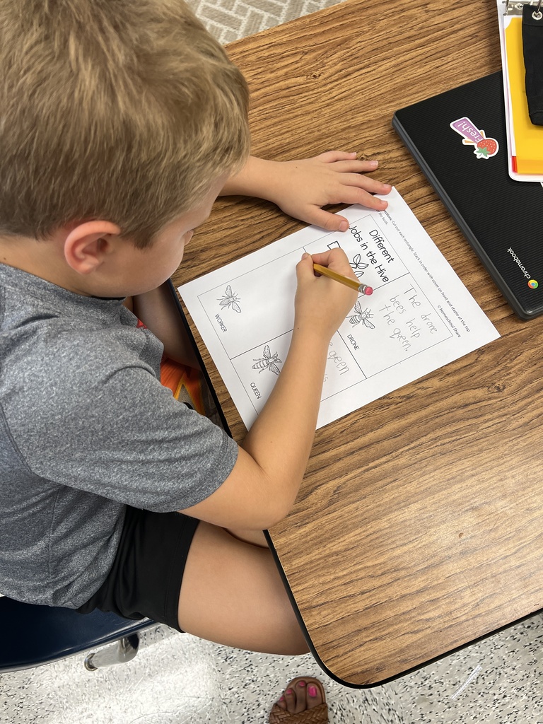 Students use a writer's checklist! 
