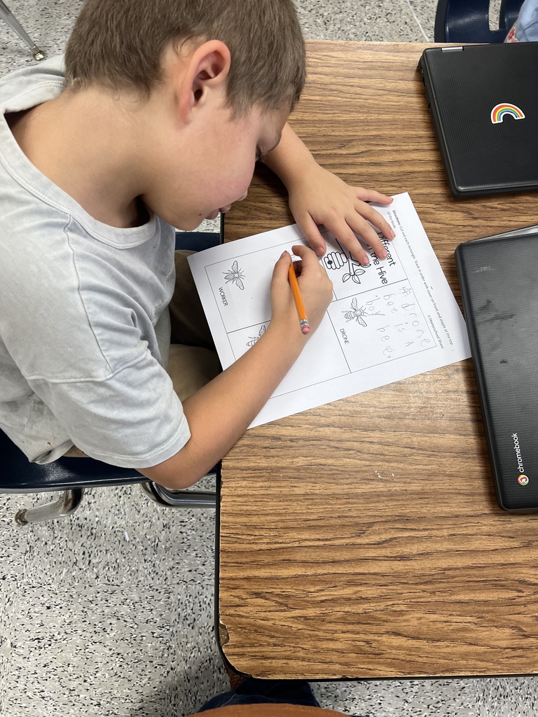 Students use a writer's checklist! 