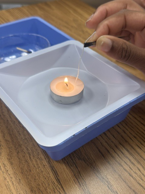 Forensic Science in Action!