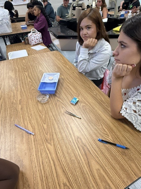 Forensic Science in Action!