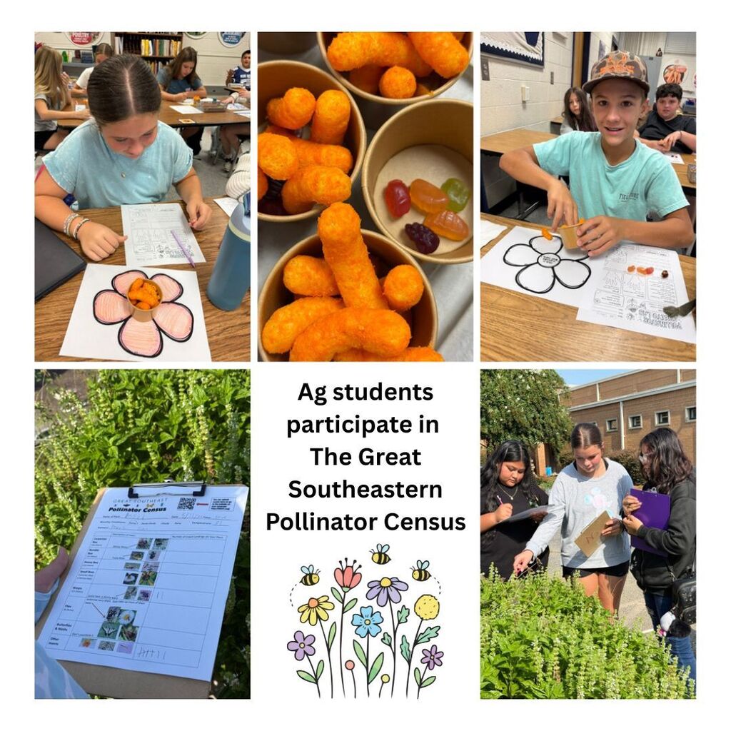 Ag students participate in the Great Southern Pollinator Census