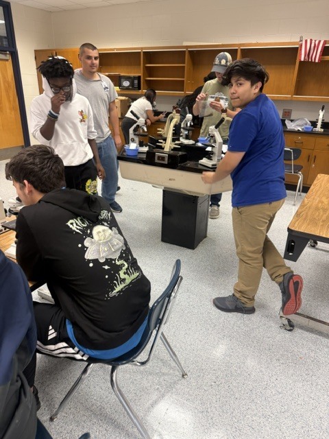 Hair Lab