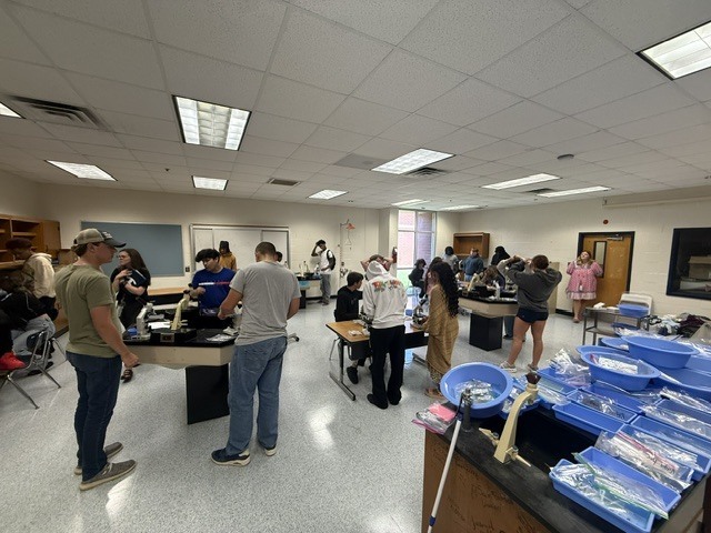 Hair Lab