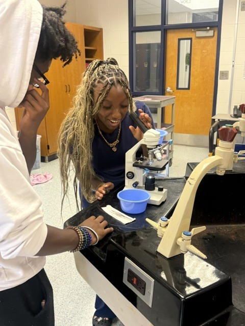 Hair Lab