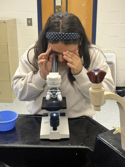 Hair Lab