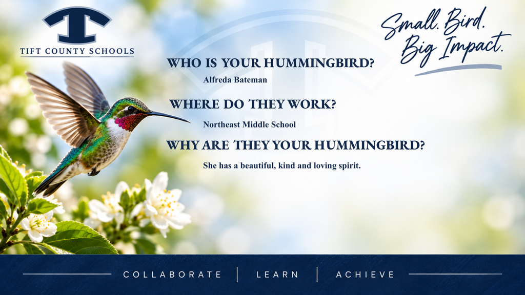 Hummingbird