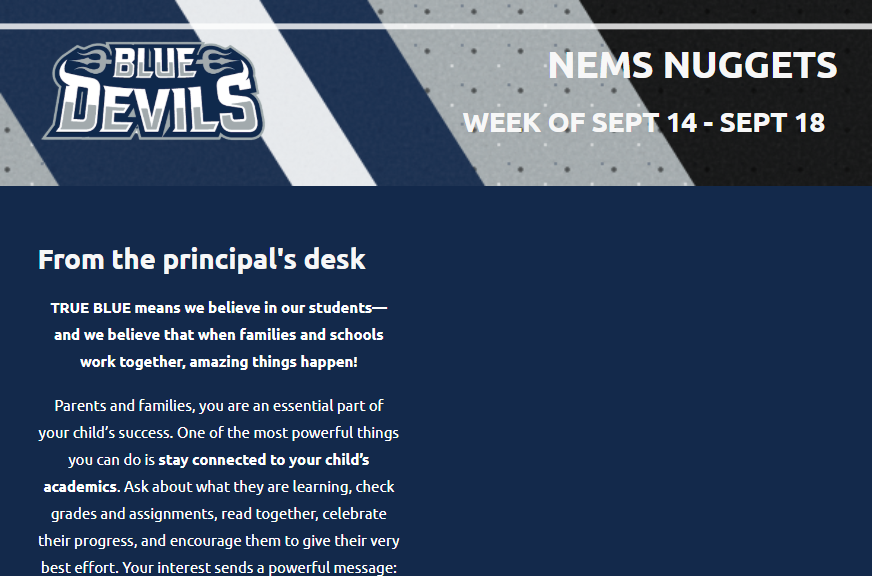 NEMSNUGGETS0914
