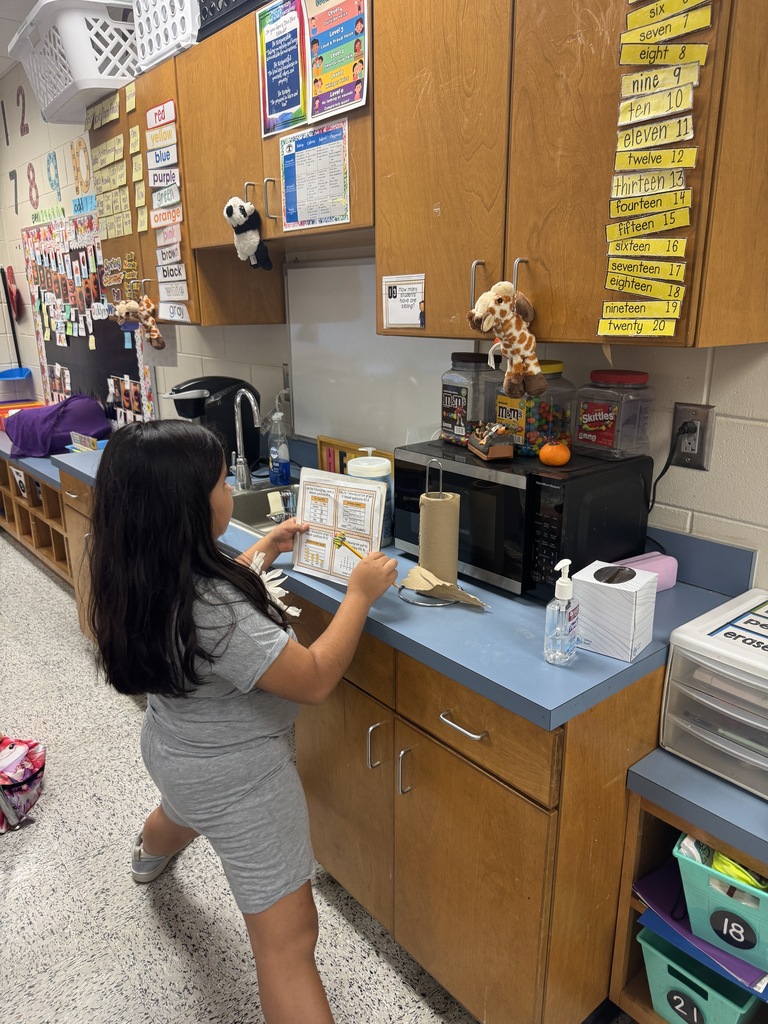 Omega Elementary School 3rd graders exploring data. 