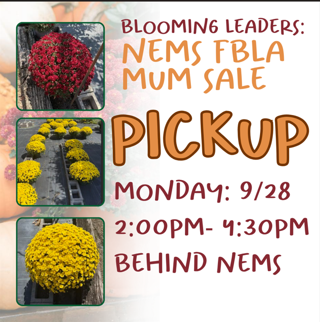 MUM SALE PICK UP POST