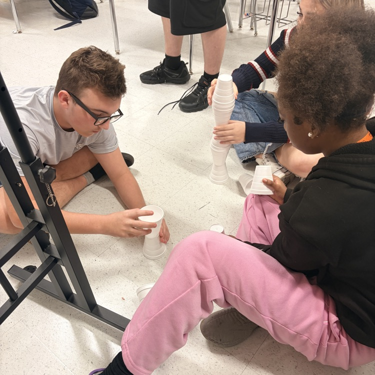 Arithmetic Sequences in Action!