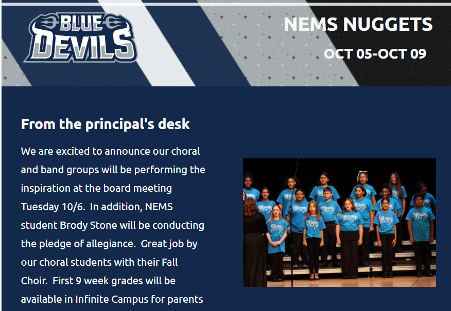 nemsnuggets1005