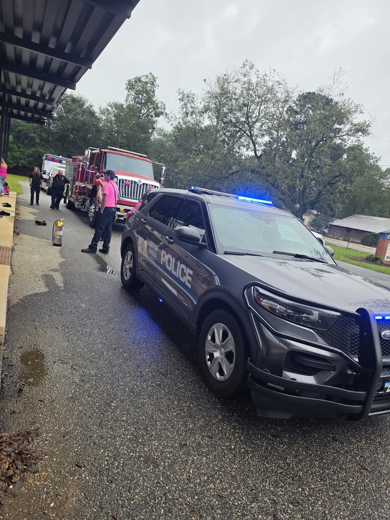 Picture of some of the first responder vehicles. 