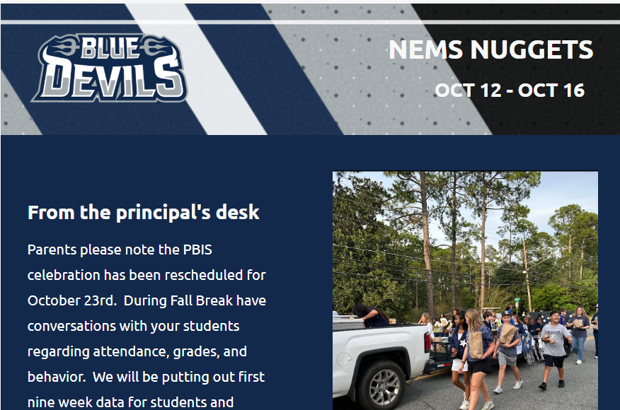 NEMSNUGGETS1012