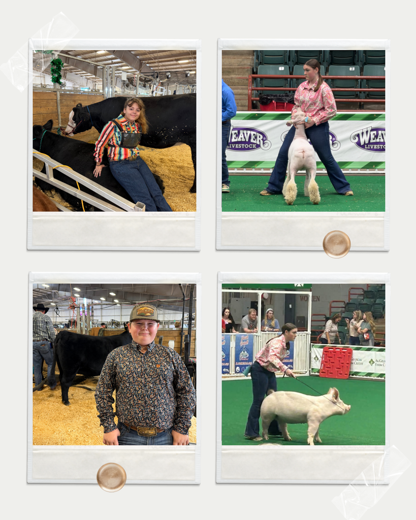 NEMS FFA LIVESTOCK