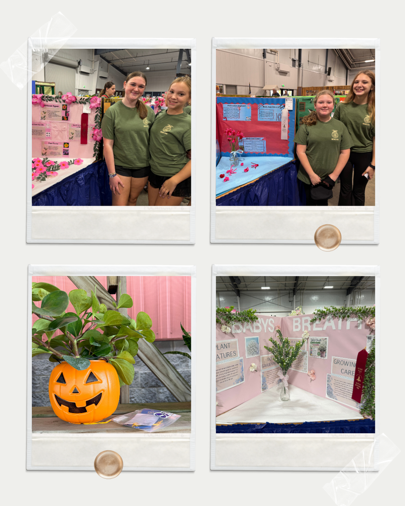 NEMS FFA MINI BOOTH COMPETITION 2