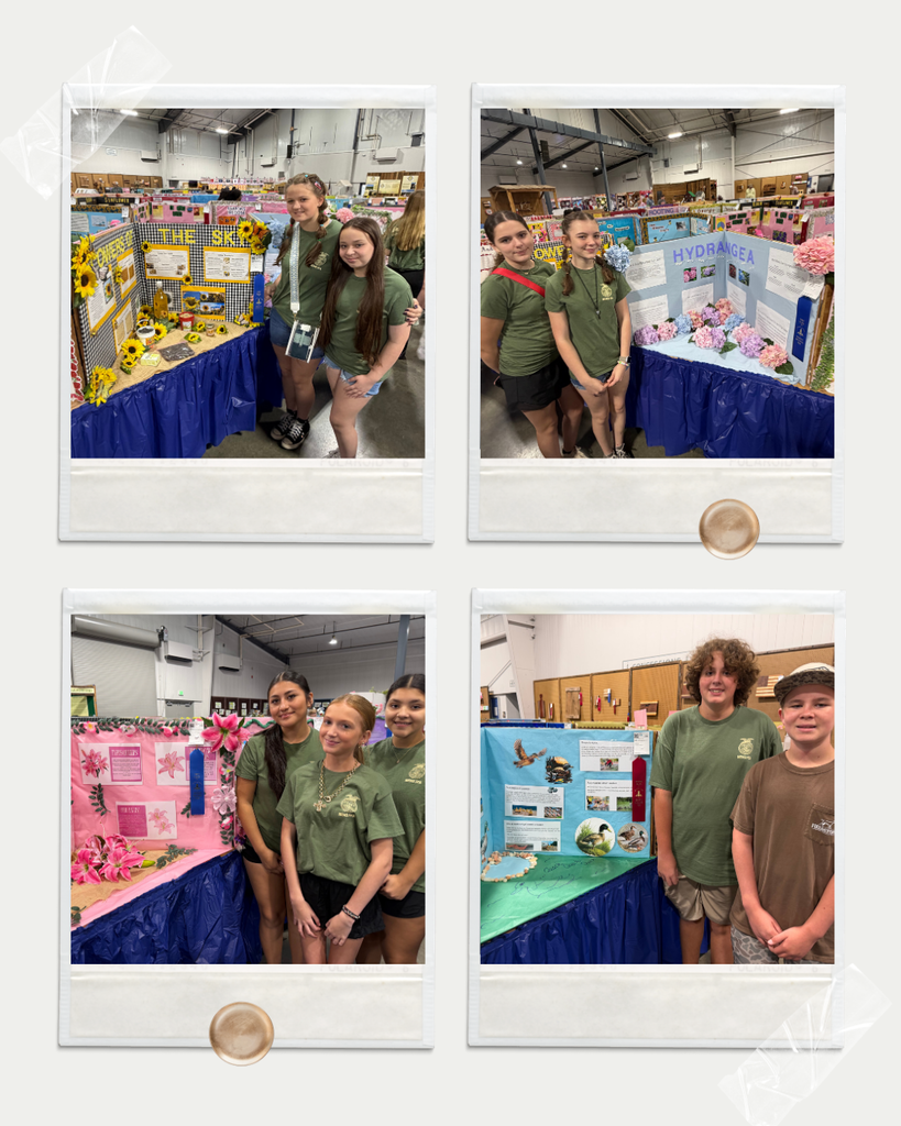 NEMS FFA MINI BOOTH COMPETITION 1