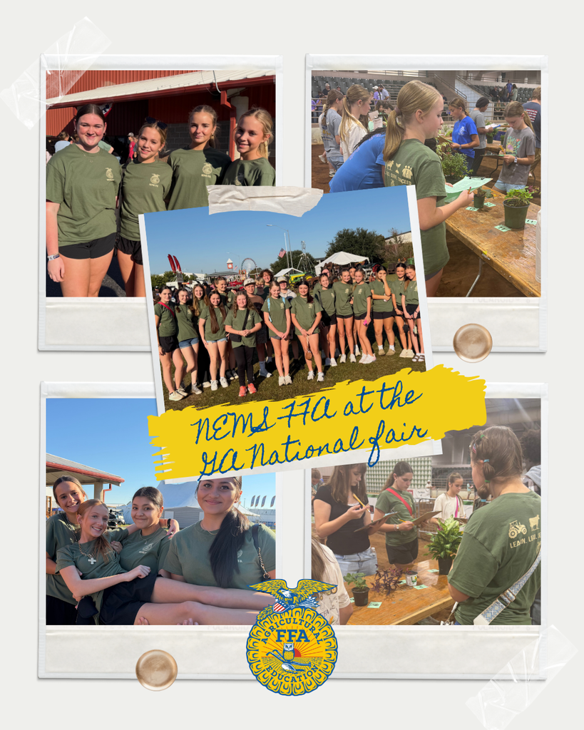 NEMS GA NATIONAL FAIR