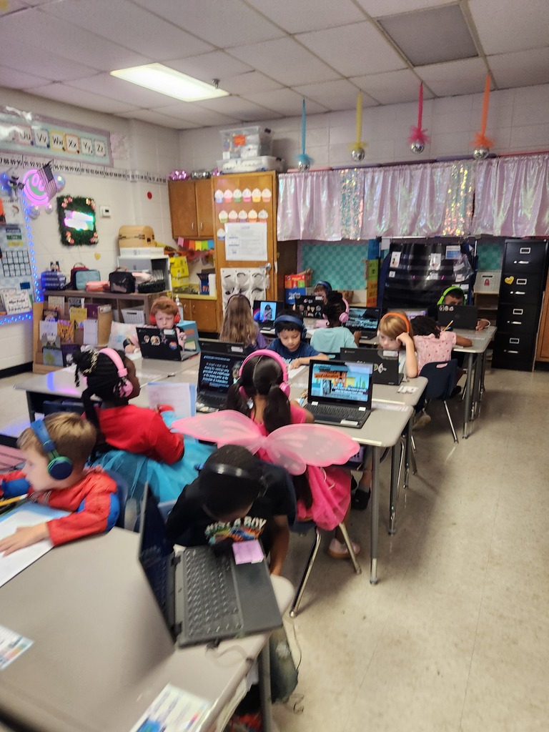 Biographical essay research