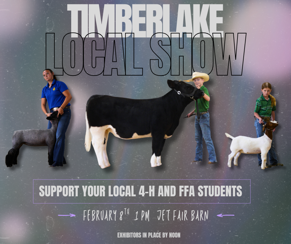 Local show feb