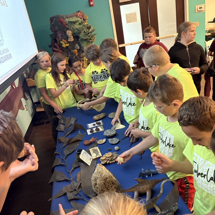 students looking at coral. 