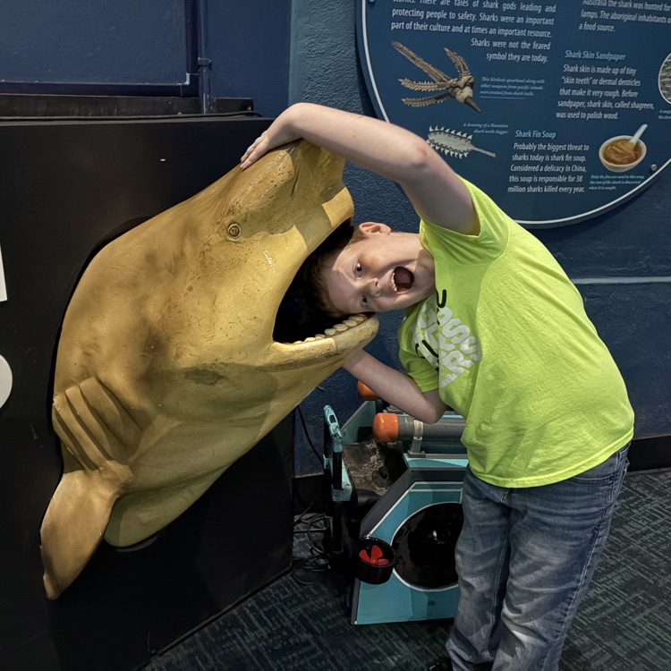 student sticking his head in the mouth of shark statue