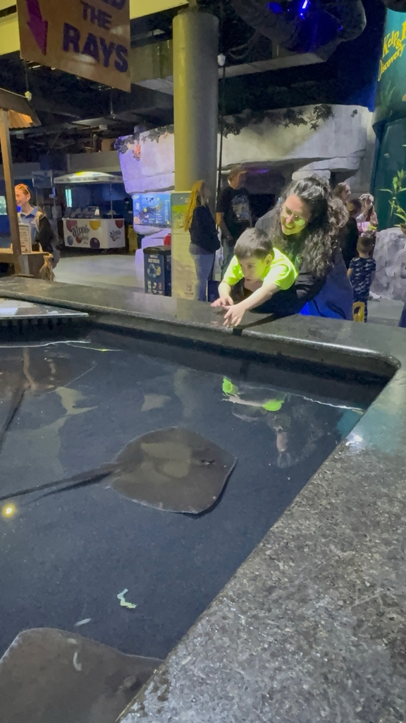 student looking at stingray