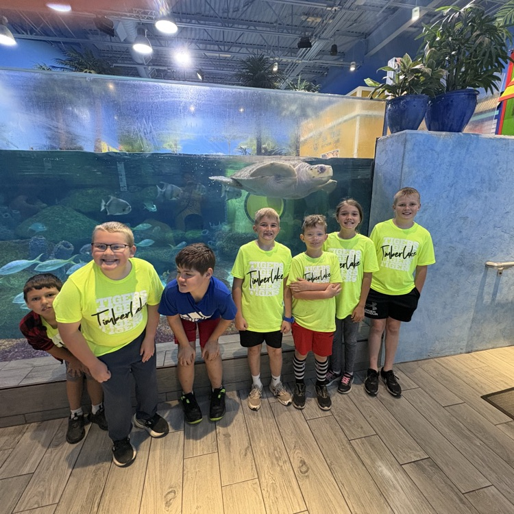  students in front of a sea turtle exhibit 