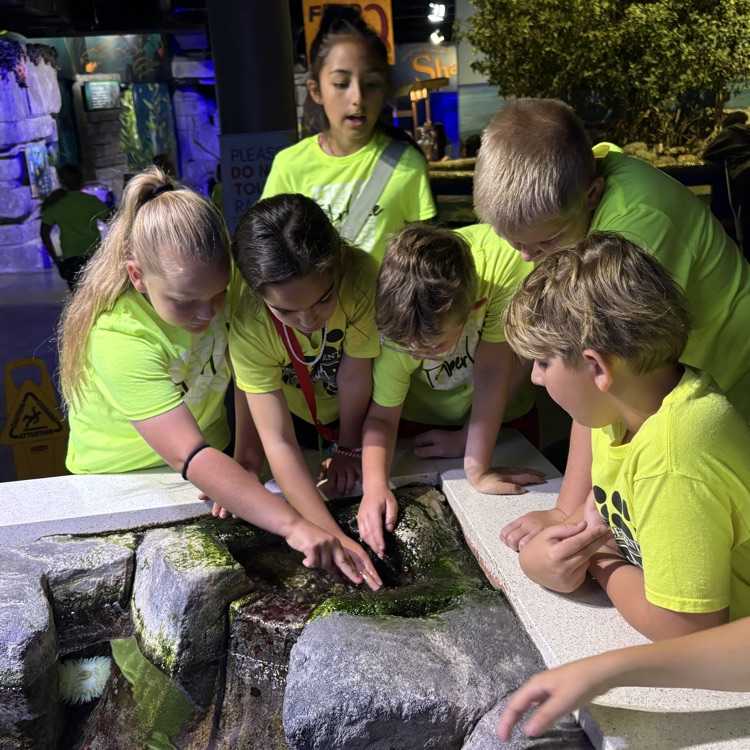 students looking at an exhibit at the Oklahoma aquarium 