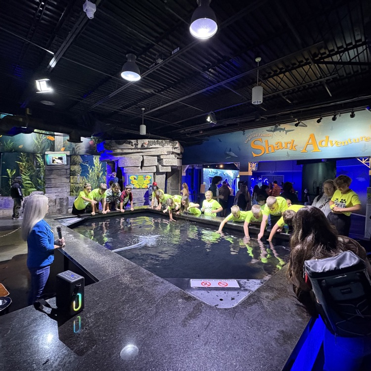 students looking at the stingray exhibit at the Oklahoma aquarium 