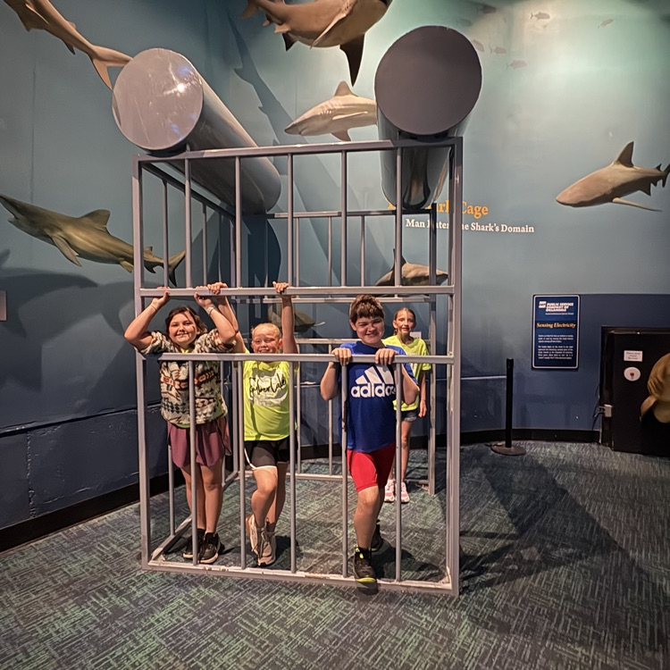 students at the Oklahoma aquarium 