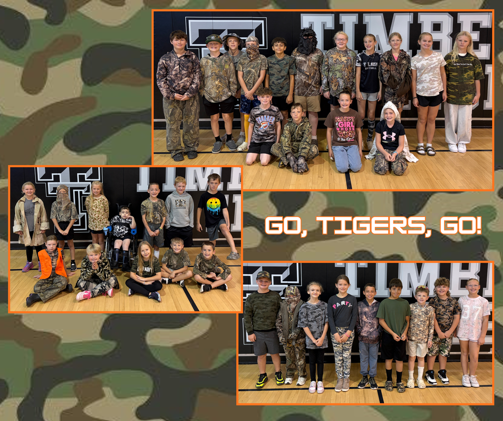 Camo can't hide out tiger pride