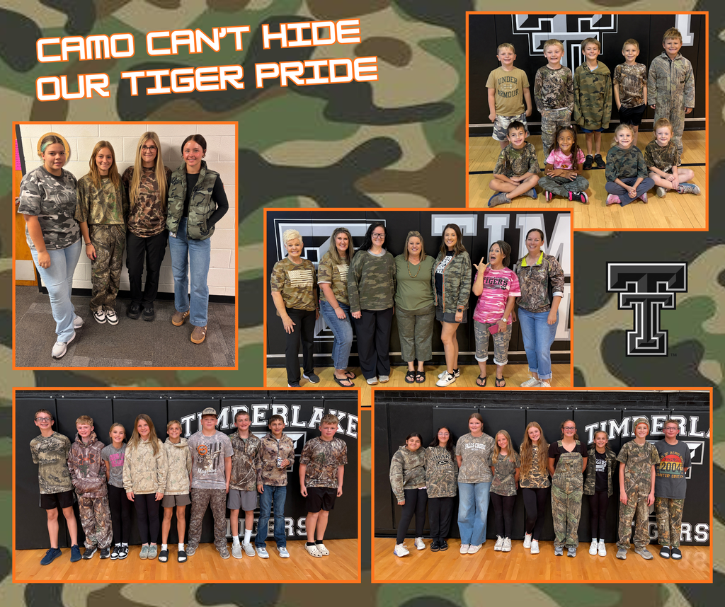 Camo can't hide out tiger pride