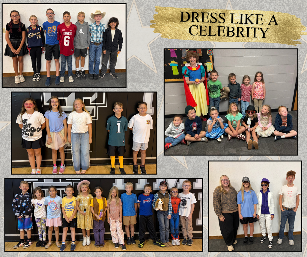 HOCO dress up day- celebrity collage
